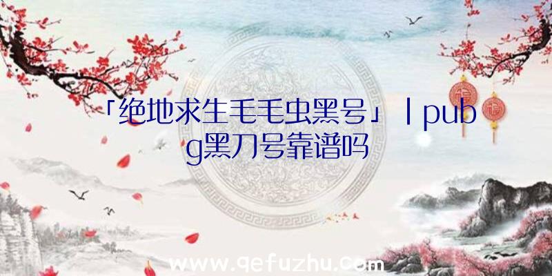 「绝地求生毛毛虫黑号」|pubg黑刀号靠谱吗